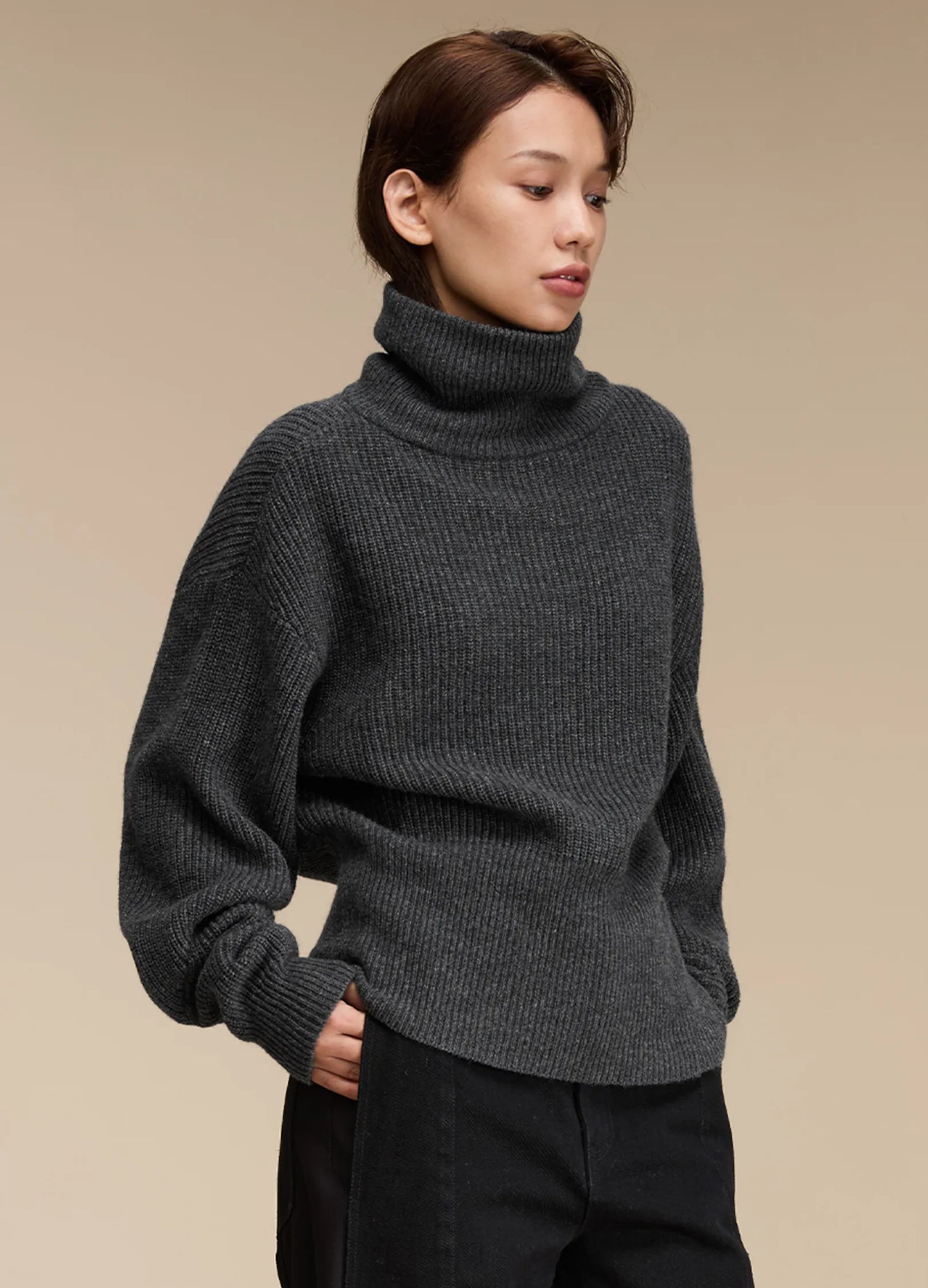 Knit Turtleneck