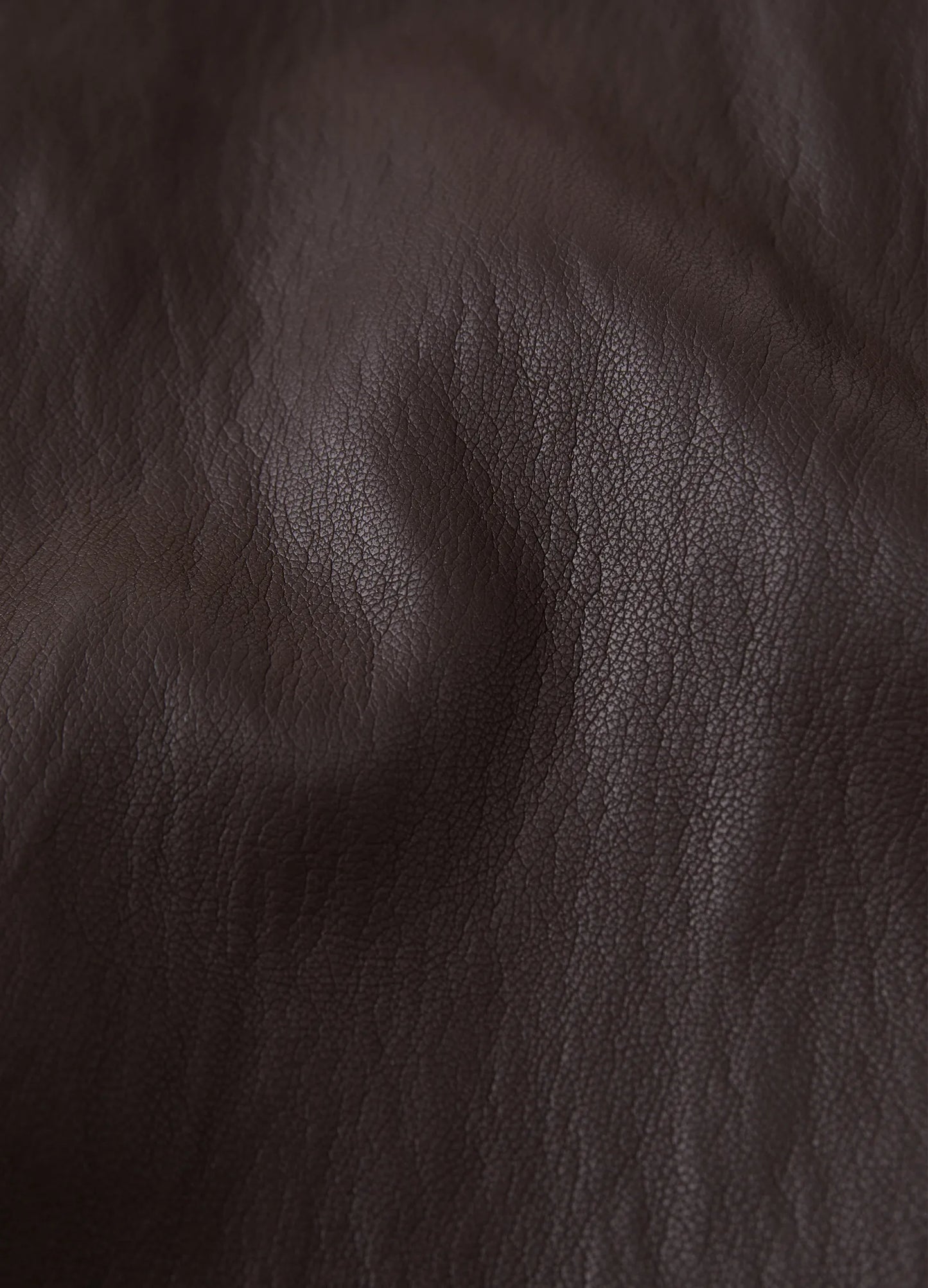 Leather Aviator Jacket