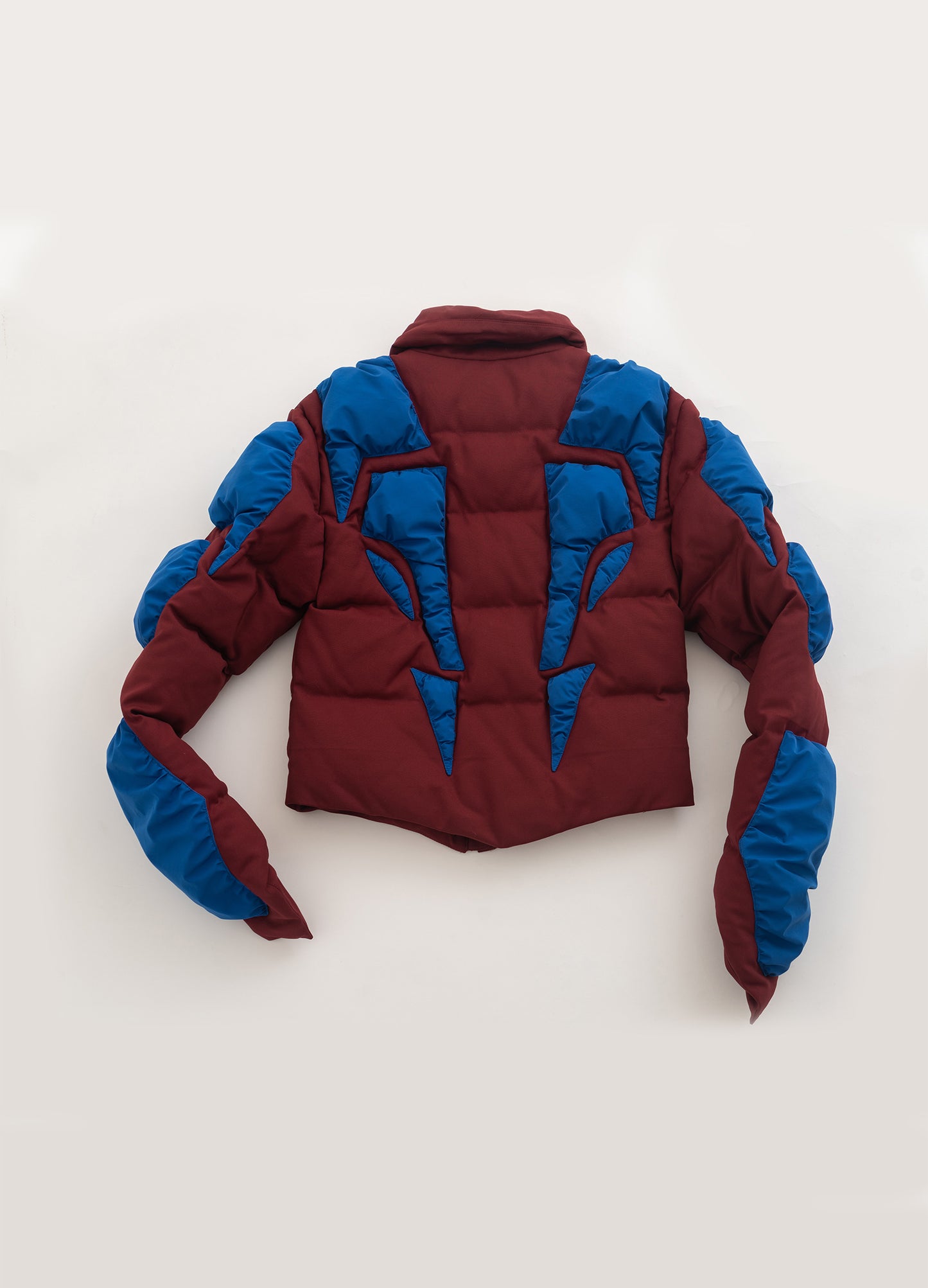 Martian Down Jacket
