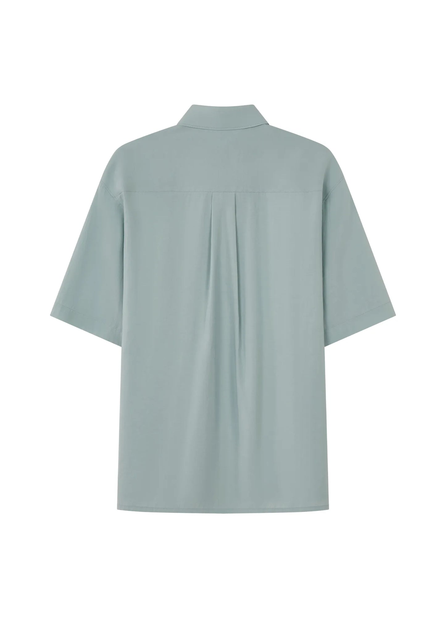Ruffle Shirt
