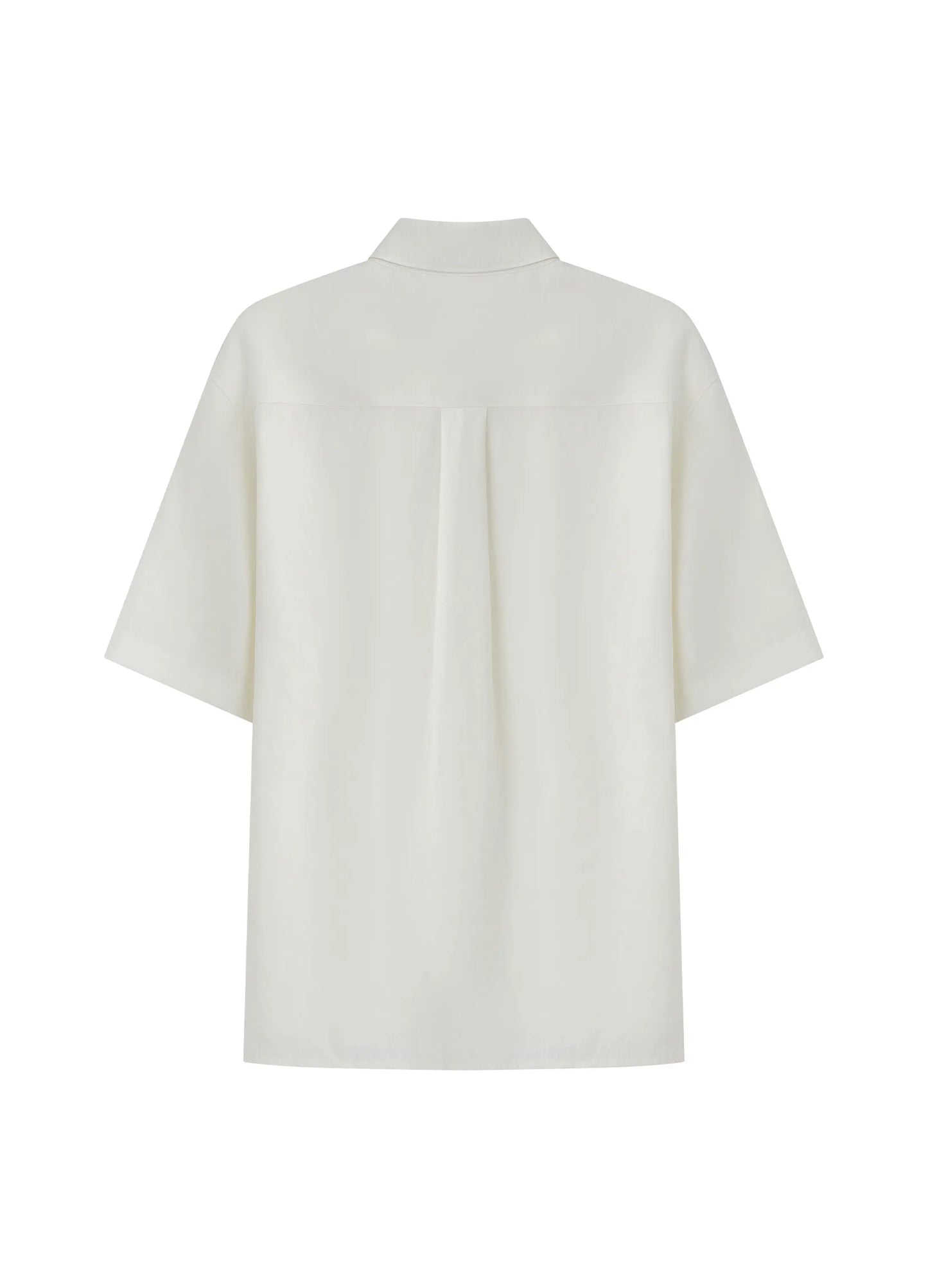 Ruffle Shirt