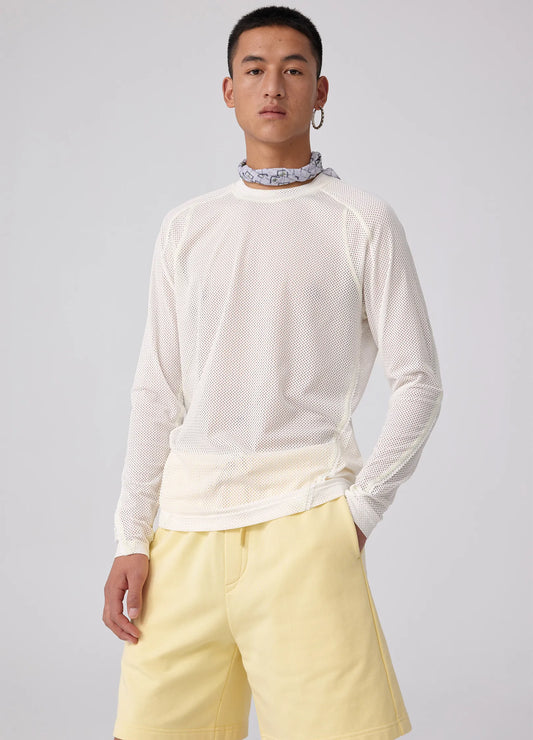 Lace Mesh Longsleeve