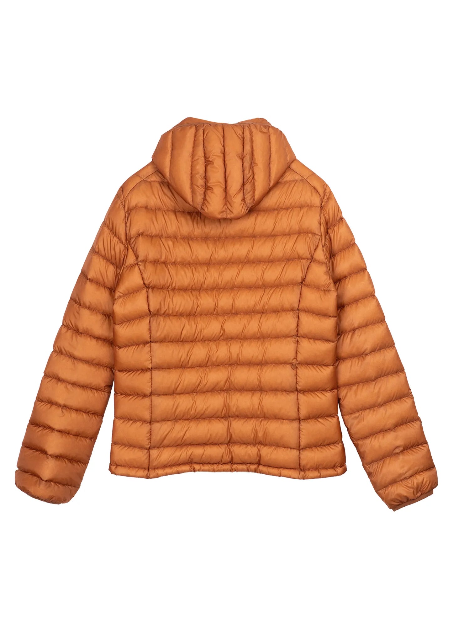 SP Down Jacket