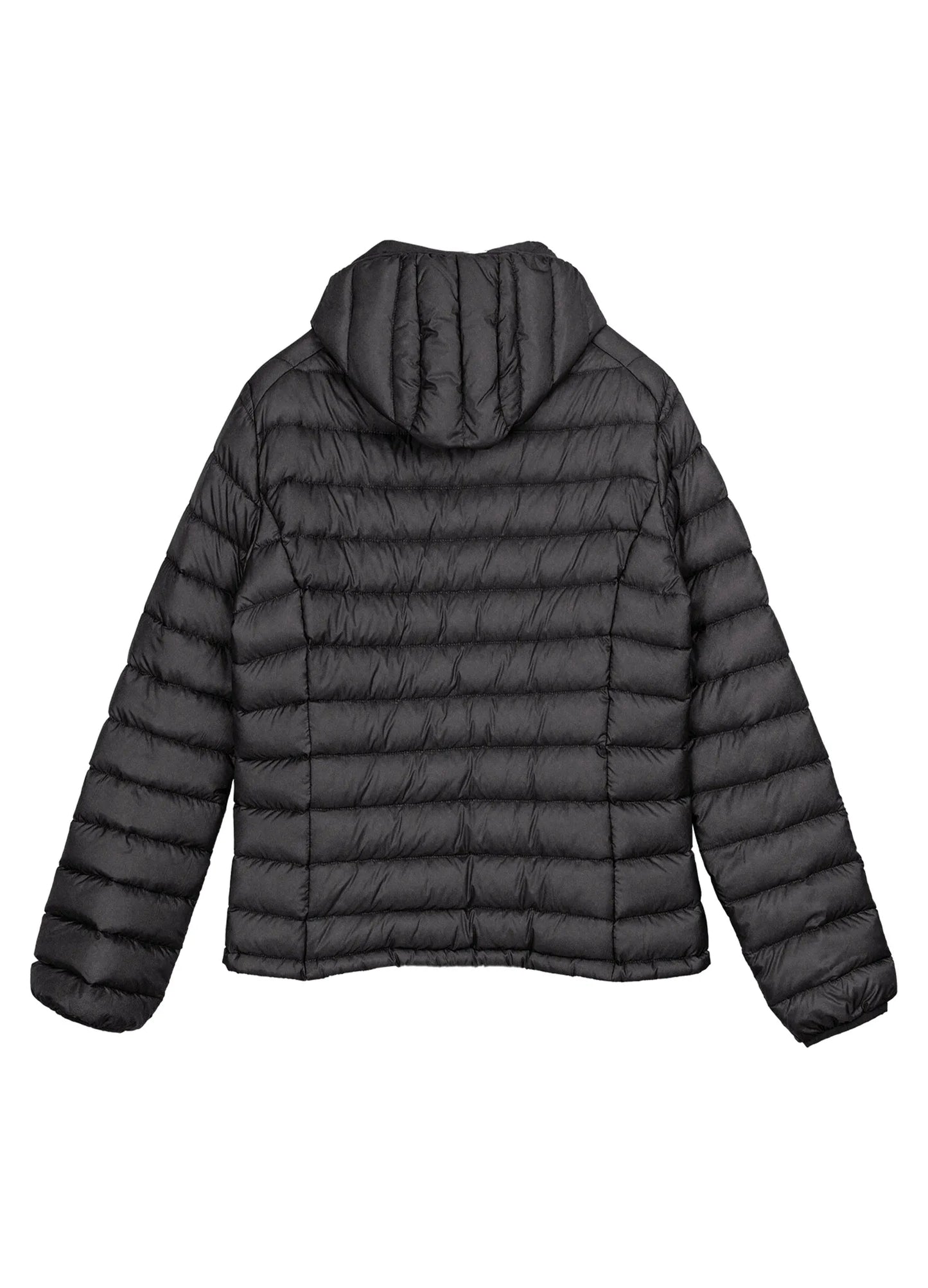 SP Down Jacket