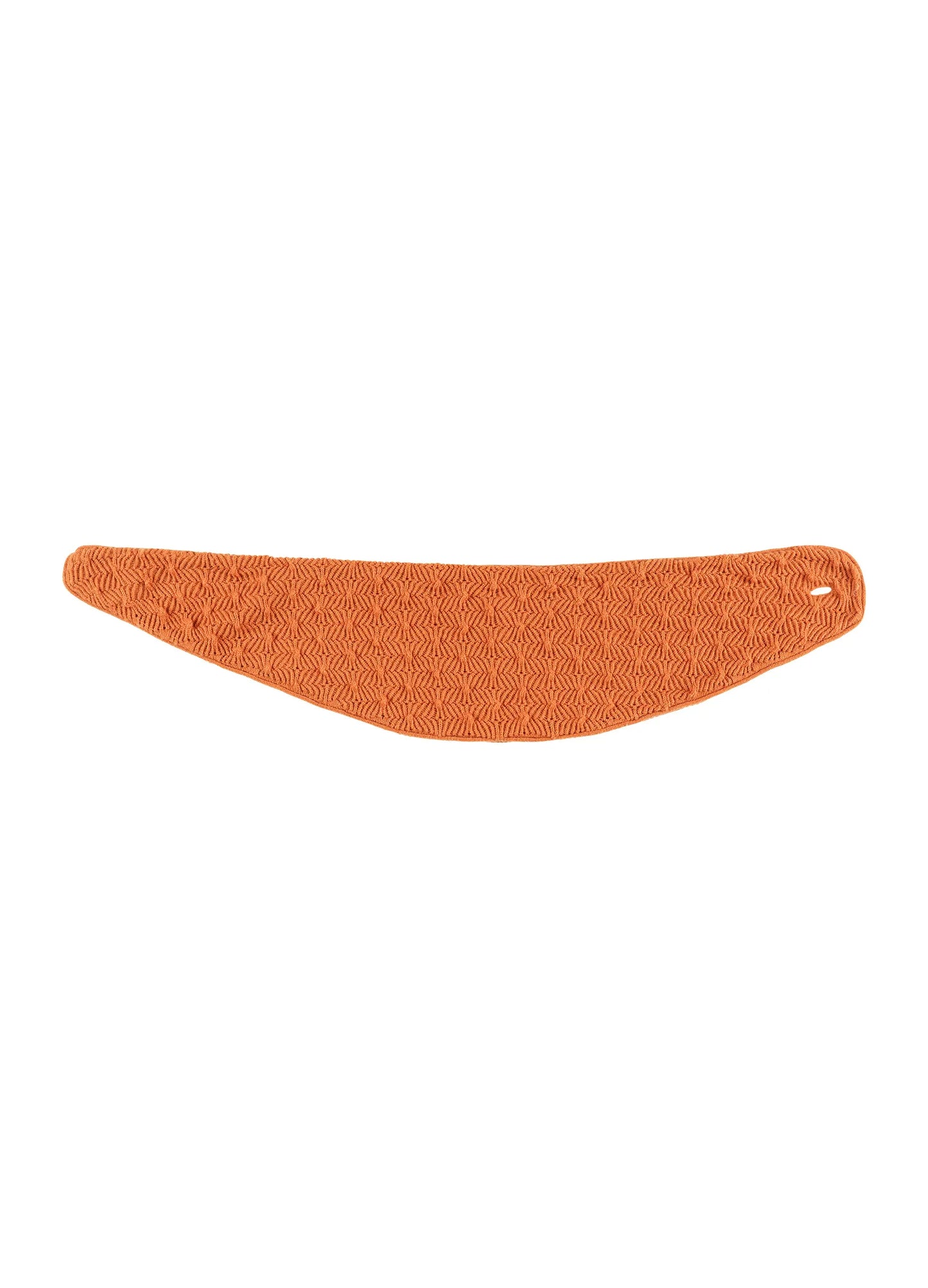 SP Mini Scarf
